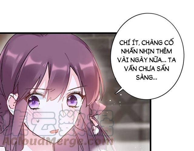 Hoa Nhan Sách Chapter 113 - Trang 2