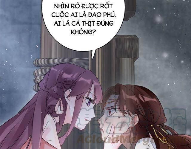 Hoa Nhan Sách Chapter 113 - Trang 2