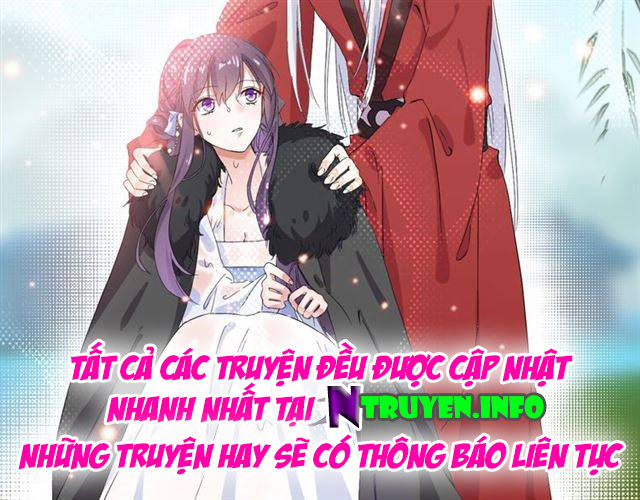 Hoa Nhan Sách Chapter 41.2 - Trang 2