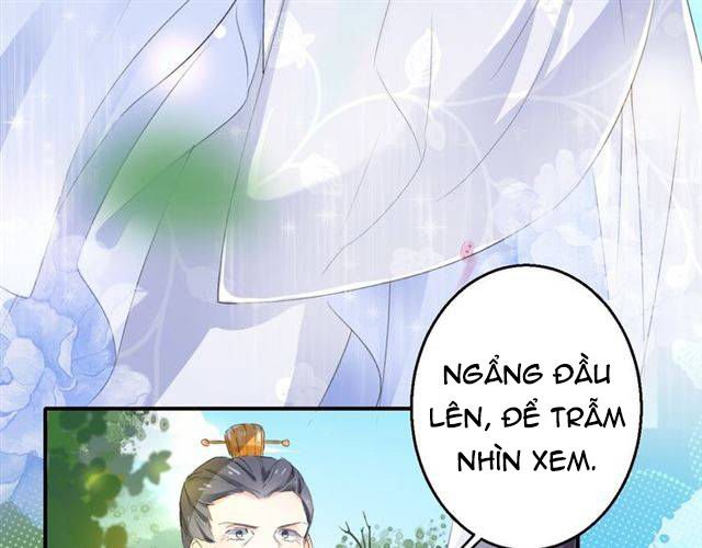 Hoa Nhan Sách Chapter 37.1 - Trang 2