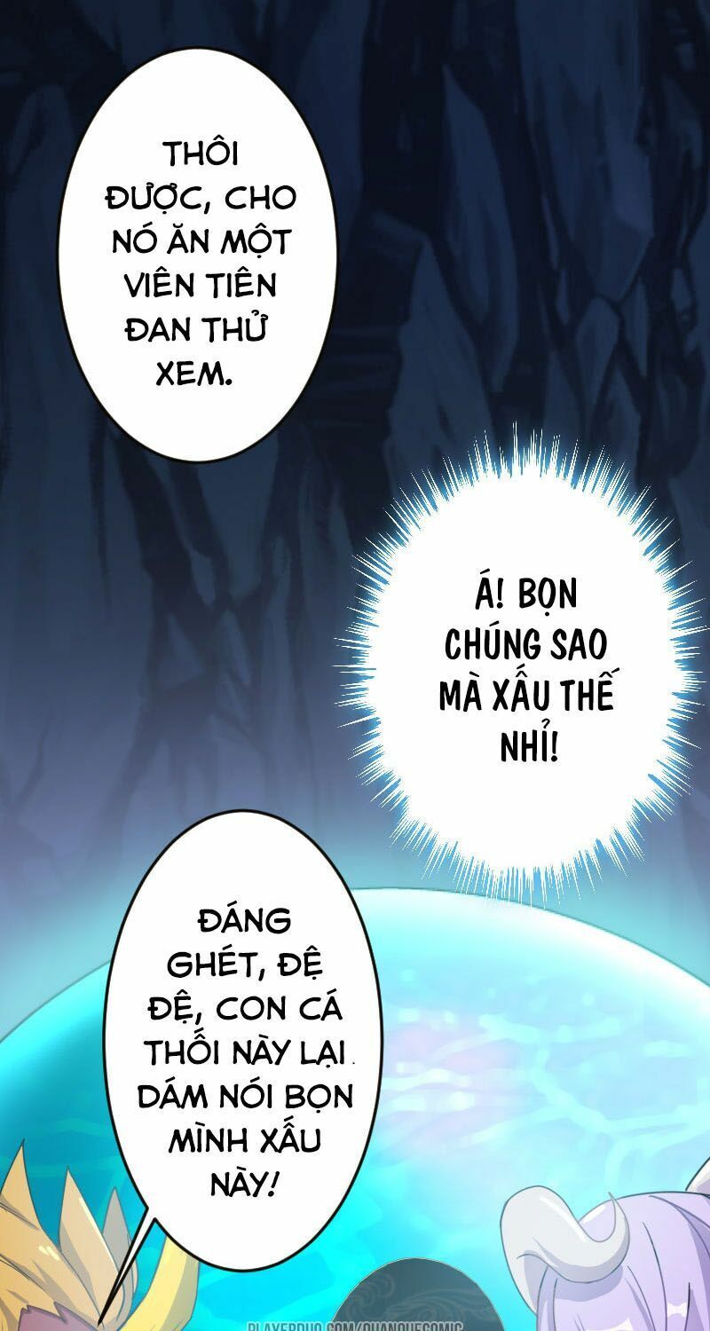 Khởi Đầu Bằng Một Con Côn Chapter 1 - Trang 2