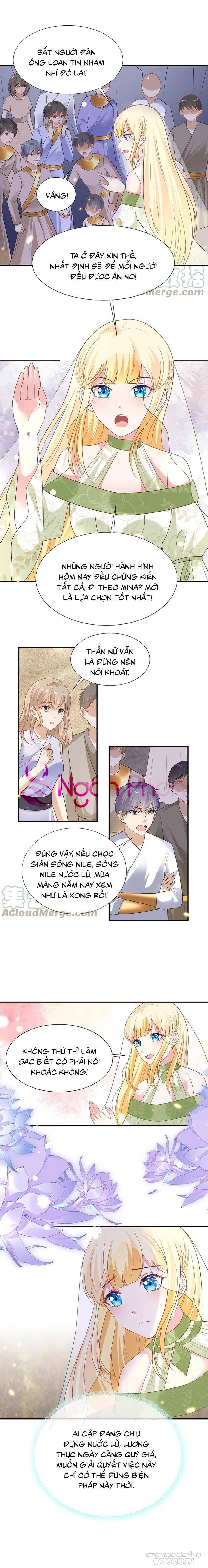 Sủng Hậu Của Vương Chapter 175 - Trang 2