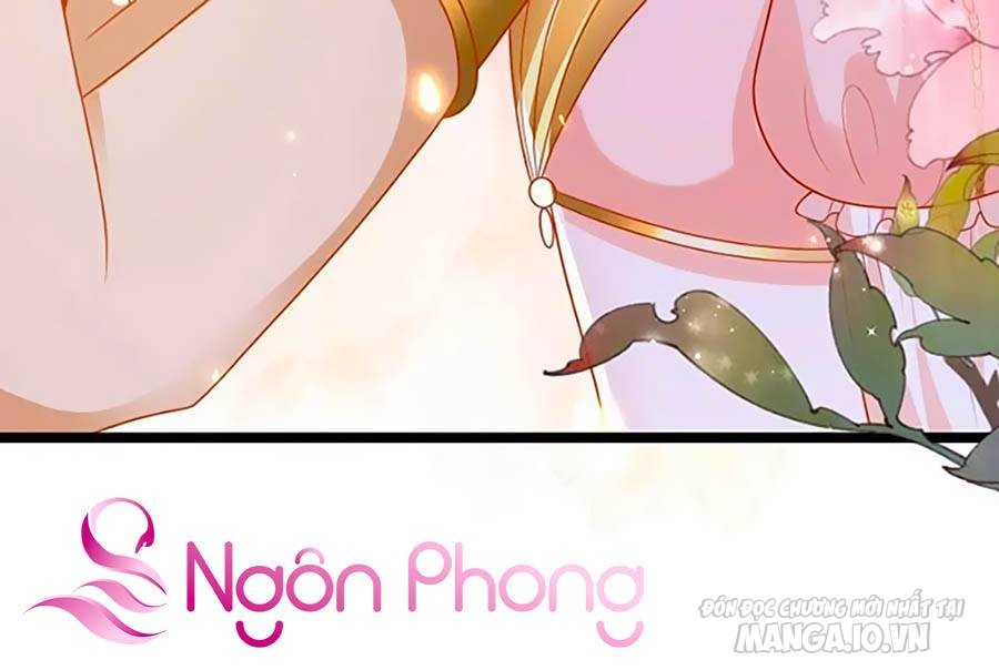 Sủng Hậu Của Vương Chapter 114 - Trang 2