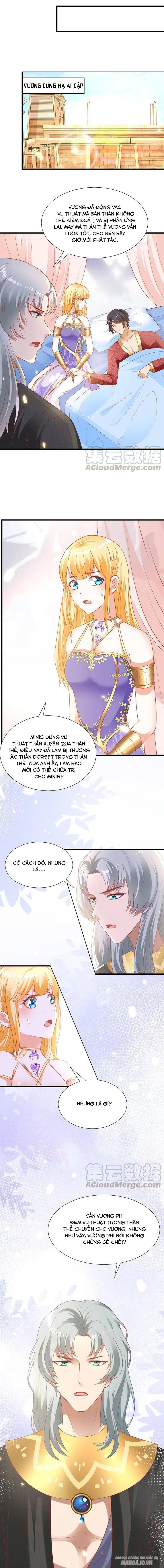 Sủng Hậu Của Vương Chapter 108 - Trang 2