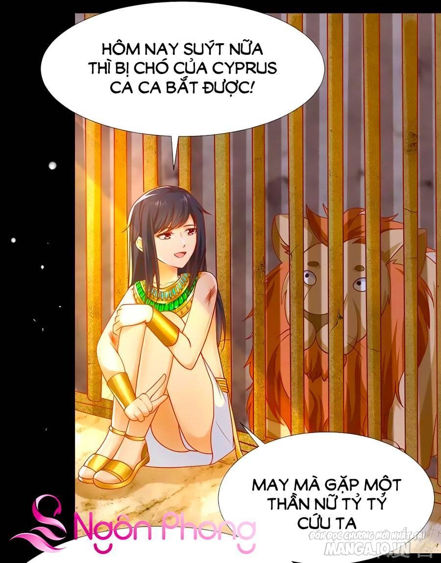 Sủng Hậu Của Vương Chapter 52 - Trang 2