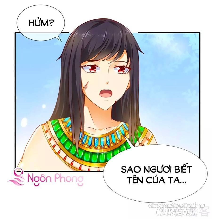 Sủng Hậu Của Vương Chapter 52 - Trang 2