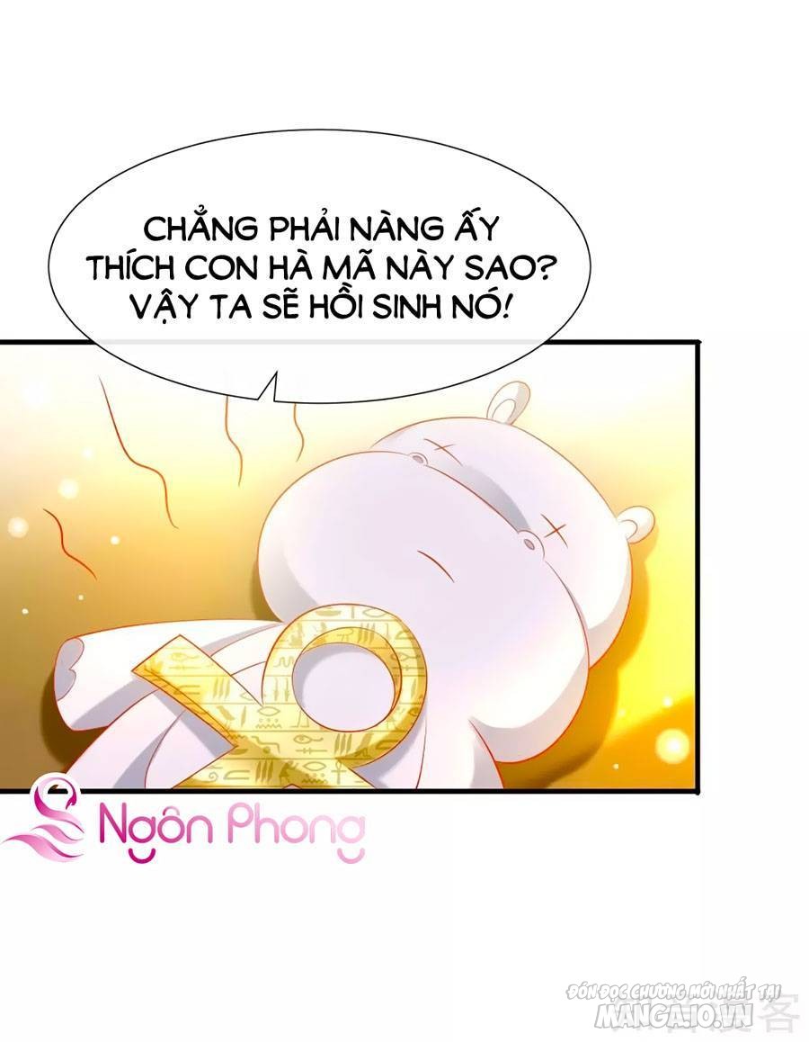 Sủng Hậu Của Vương Chapter 50 - Trang 2