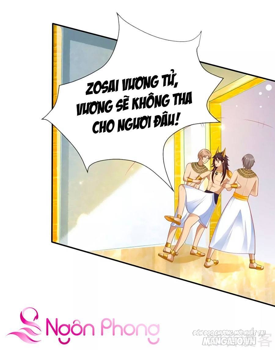 Sủng Hậu Của Vương Chapter 45 - Trang 2