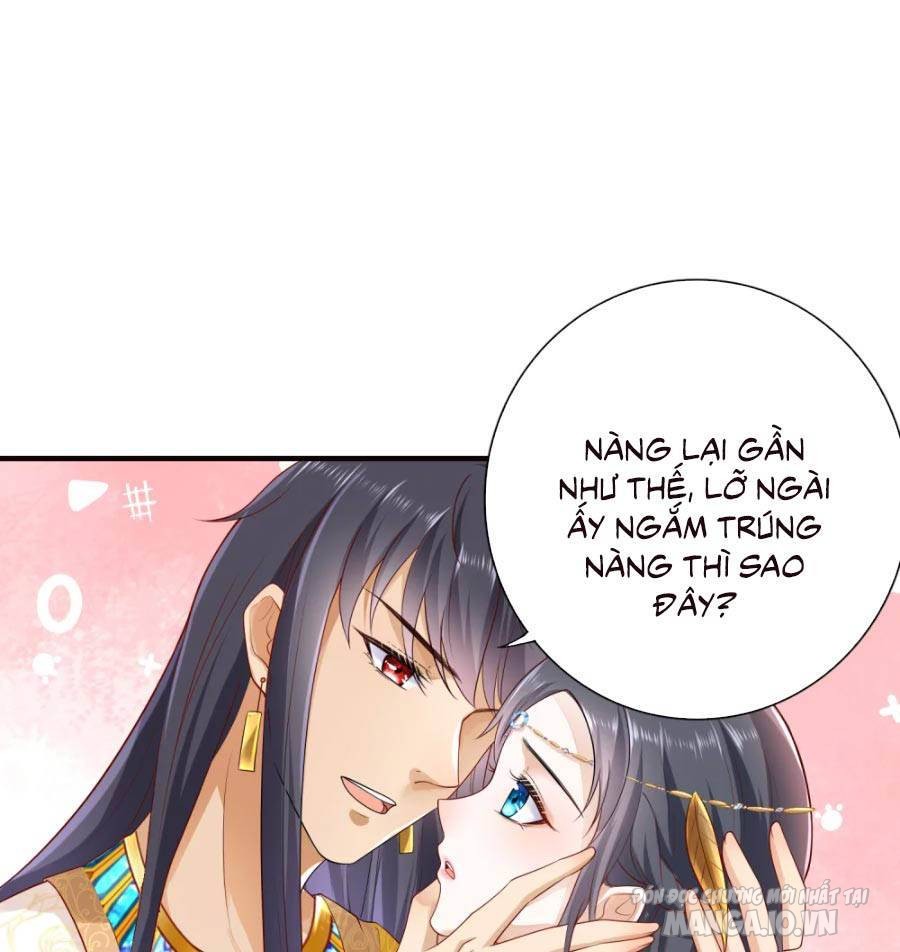 Sủng Hậu Của Vương Chapter 16 - Trang 2