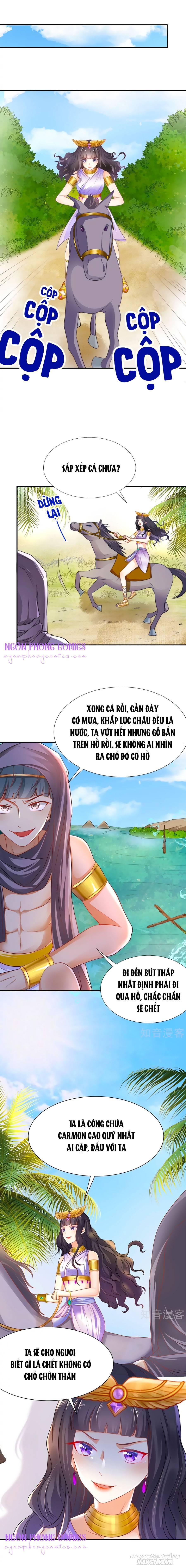 Sủng Hậu Của Vương Chapter 2 - Trang 2