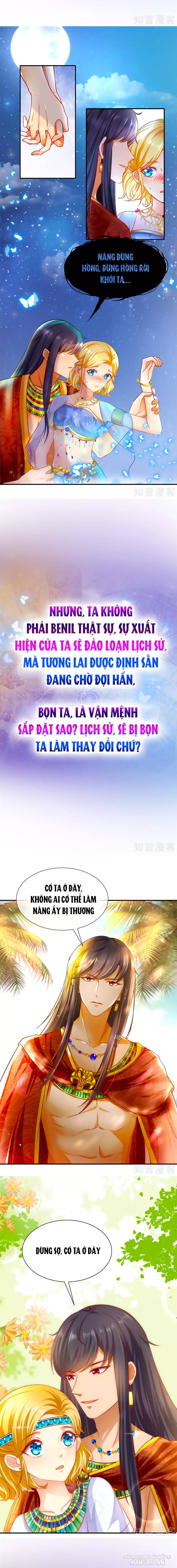 Sủng Hậu Của Vương Chapter 0 - Trang 2