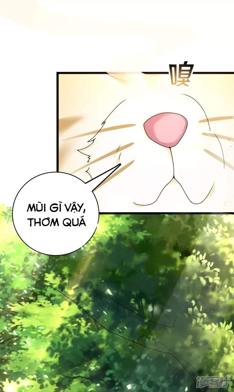 Khoa Kỹ Đại Tiên Tông Chapter 19 - Trang 2