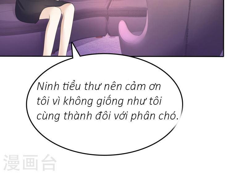 Con Đường Phản Công Của Sủng Thê Chapter 20 - Trang 2