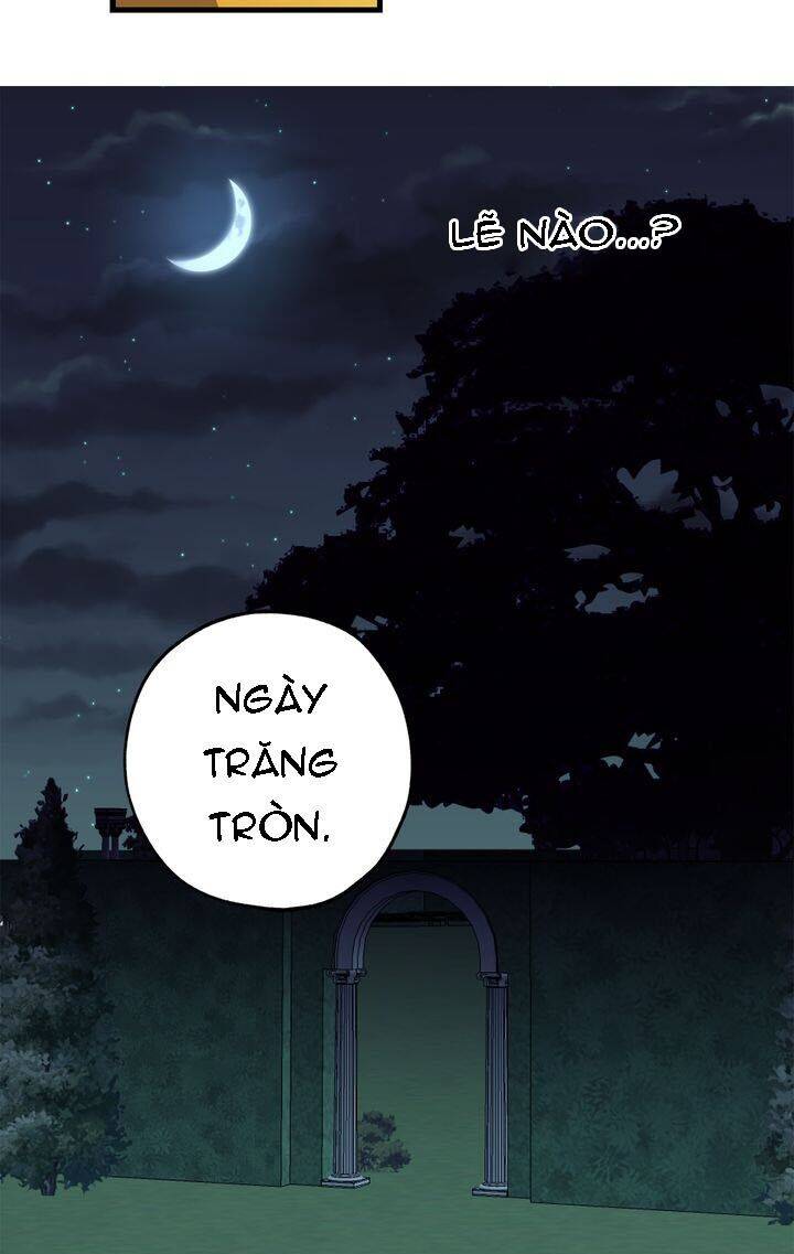 Tình Điên Dại Chapter 66 - Trang 2