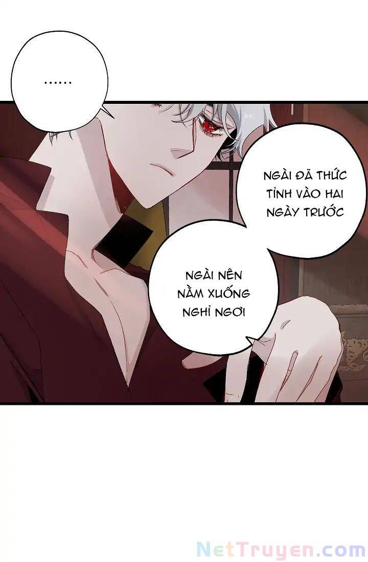 Tình Điên Dại Chapter 14 - Trang 2