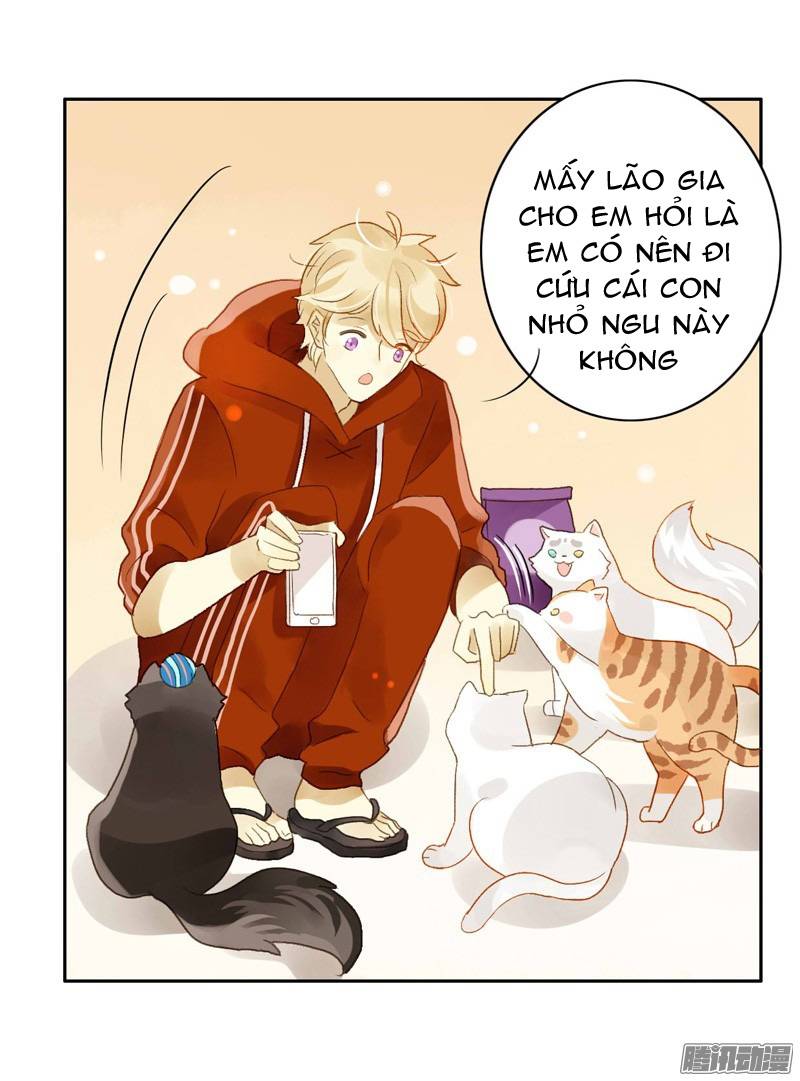 Sức Mạnh Của Sắc Đẹp Chapter 58 - Trang 2