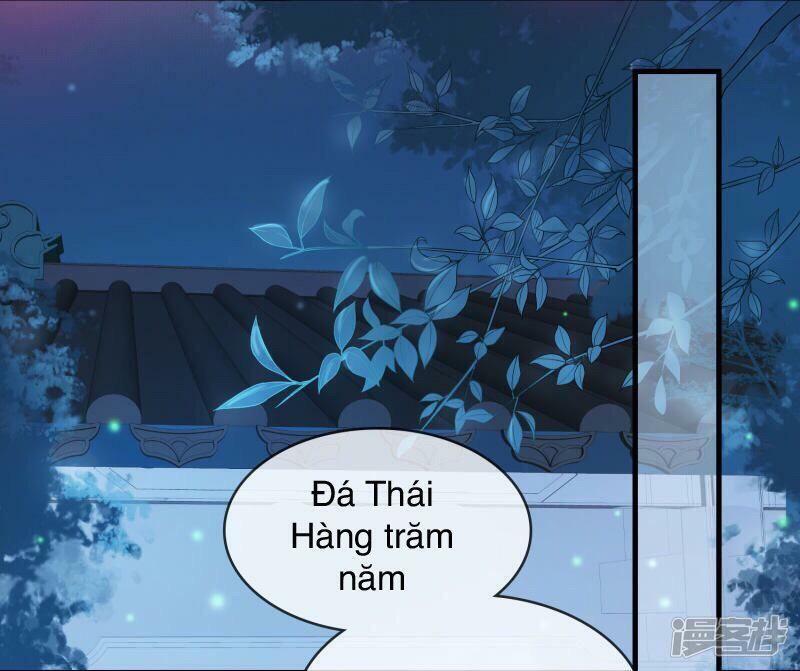 Thịnh Thế Thiên Kiêu Chapter 17 - Trang 2