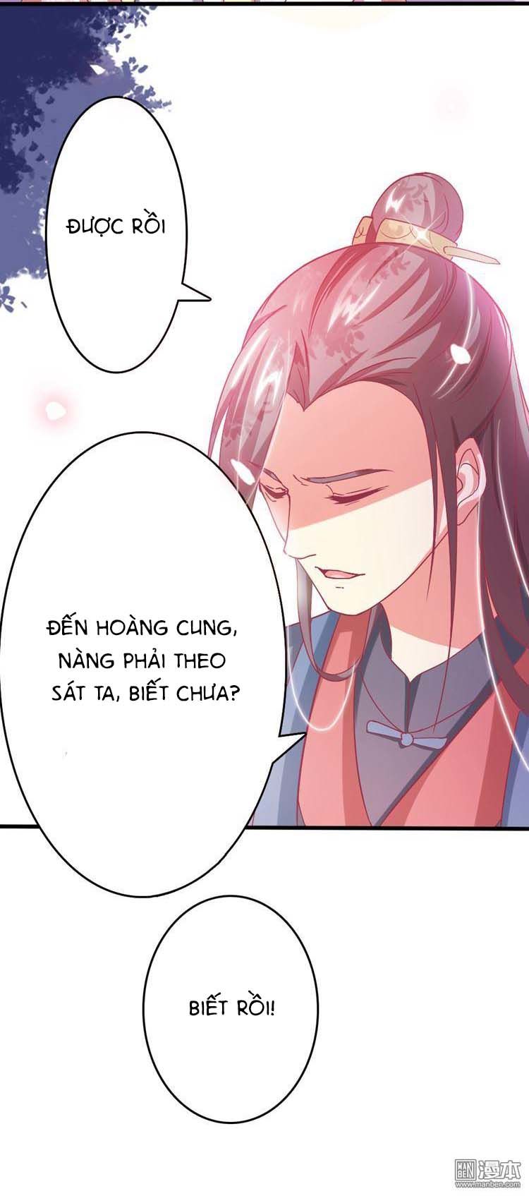 Cưng Chiều Đào Phi Chapter 16 - Trang 2