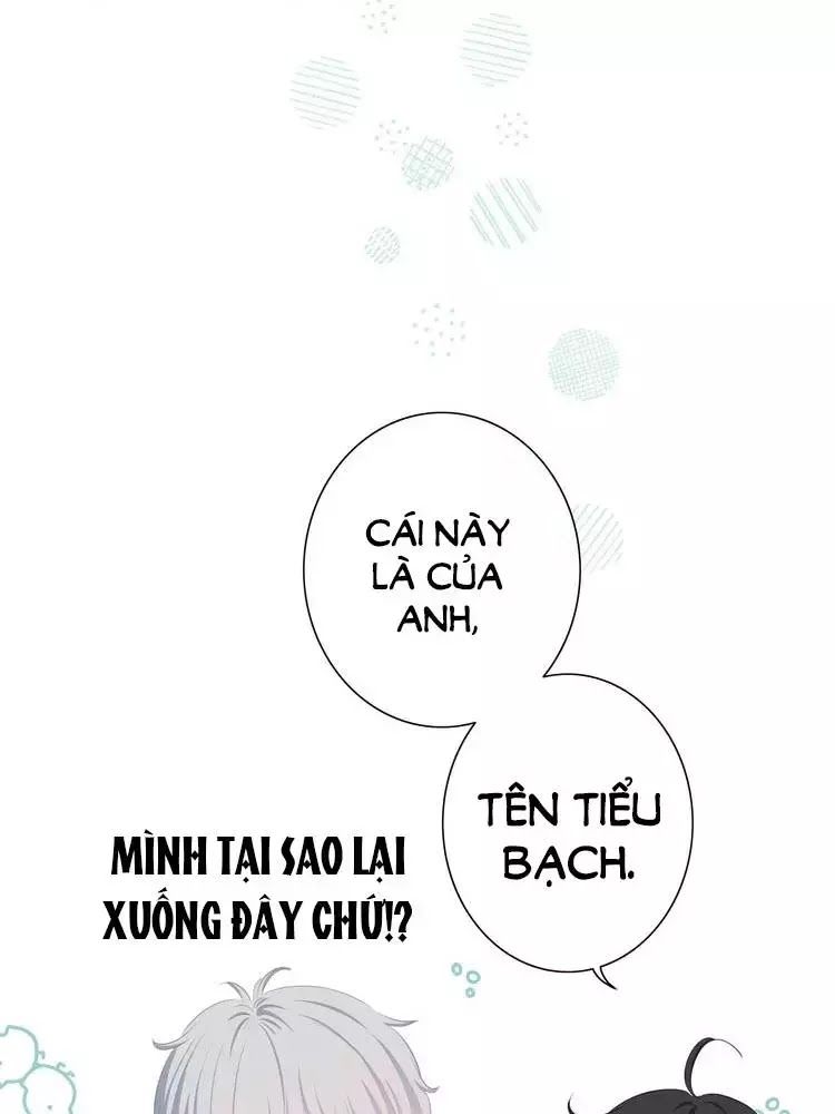 Vấp Phải Nghịch Quang Chapter 11 - Trang 2