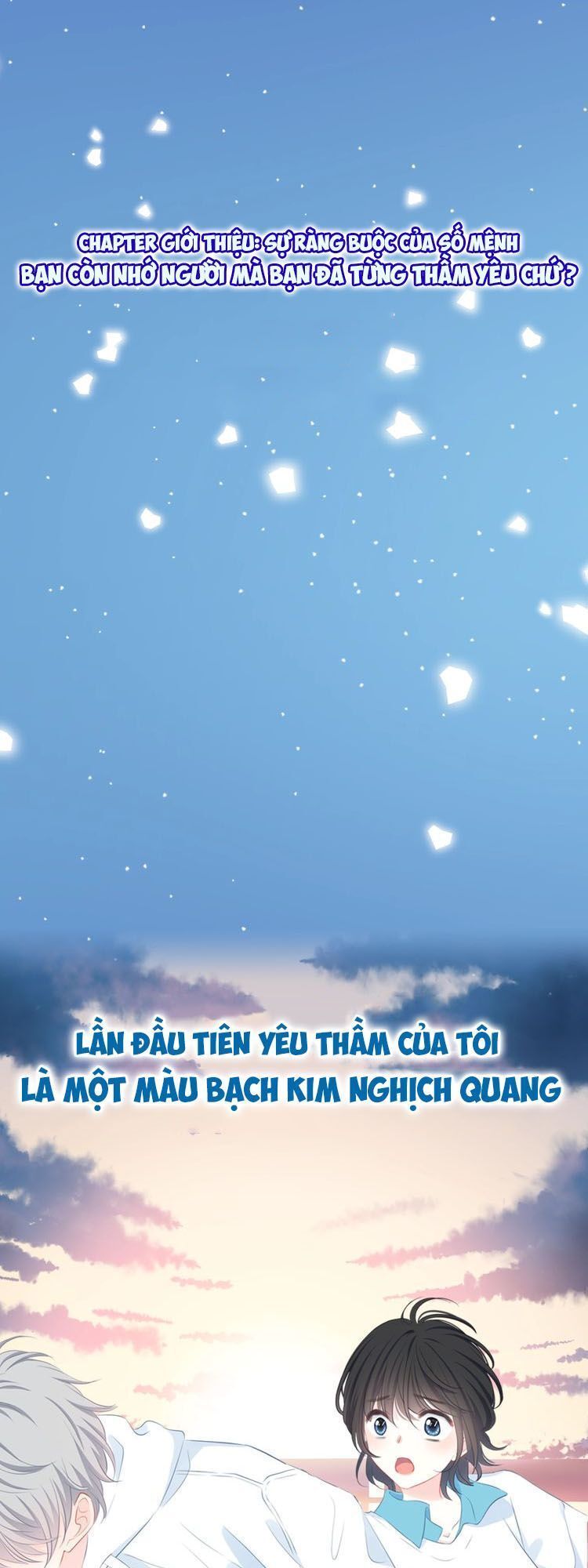 Vấp Phải Nghịch Quang Chapter 0 - Trang 2