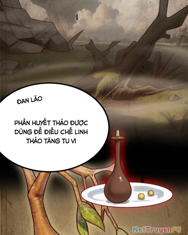 Chính Nghĩa Không!! Ta Trở Thành Phản Diện Chapter 34 - Trang 2