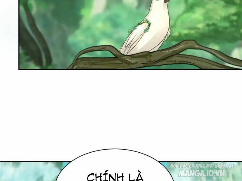 Toàn Cầu Quỷ Dị Thời Đại Chapter 213 - Trang 2