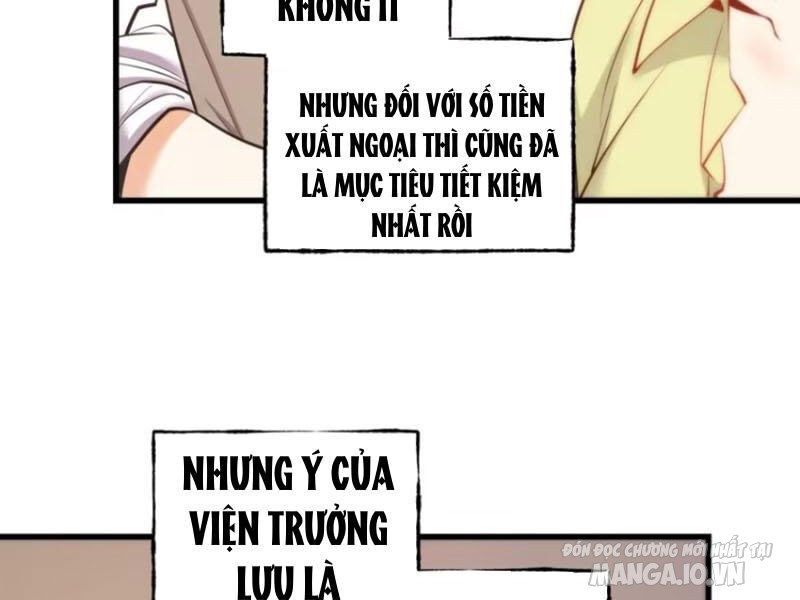 Trùng Sinh Không Làm Chạn Vương – Ta Một Mình Thăng Cấp Khắc Kim Chapter 63 - Trang 2