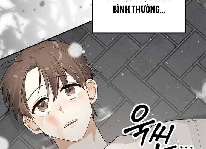 Tân Binh Triệu Đô Chapter 1 - Trang 2