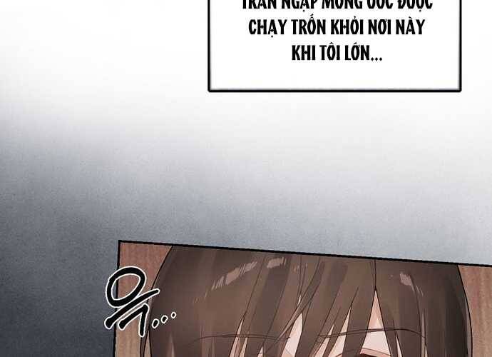 Tân Binh Triệu Đô Chapter 1 - Trang 2