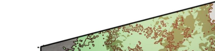 Tử Linh Pháp Sư: Ta Chính Là Thiên Tai Chapter 93 - Trang 2