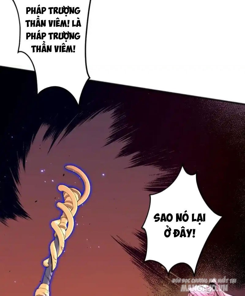 Tử Linh Pháp Sư: Ta Chính Là Thiên Tai Chapter 62 - Trang 2
