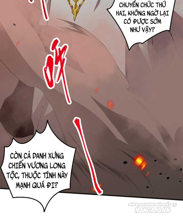 Tử Linh Pháp Sư: Ta Chính Là Thiên Tai Chapter 36 - Trang 2