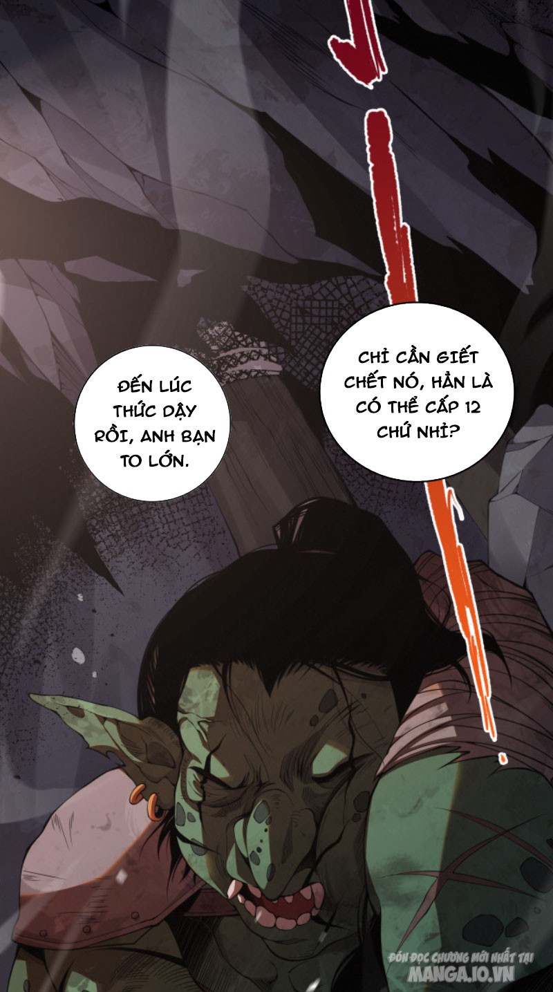 Tử Linh Pháp Sư: Ta Chính Là Thiên Tai Chapter 5 - Trang 2