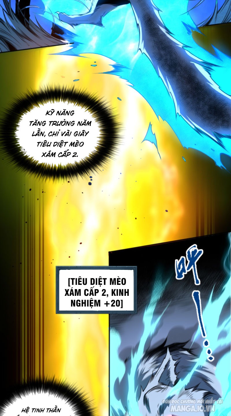 Tử Linh Pháp Sư: Ta Chính Là Thiên Tai Chapter 1 - Trang 2