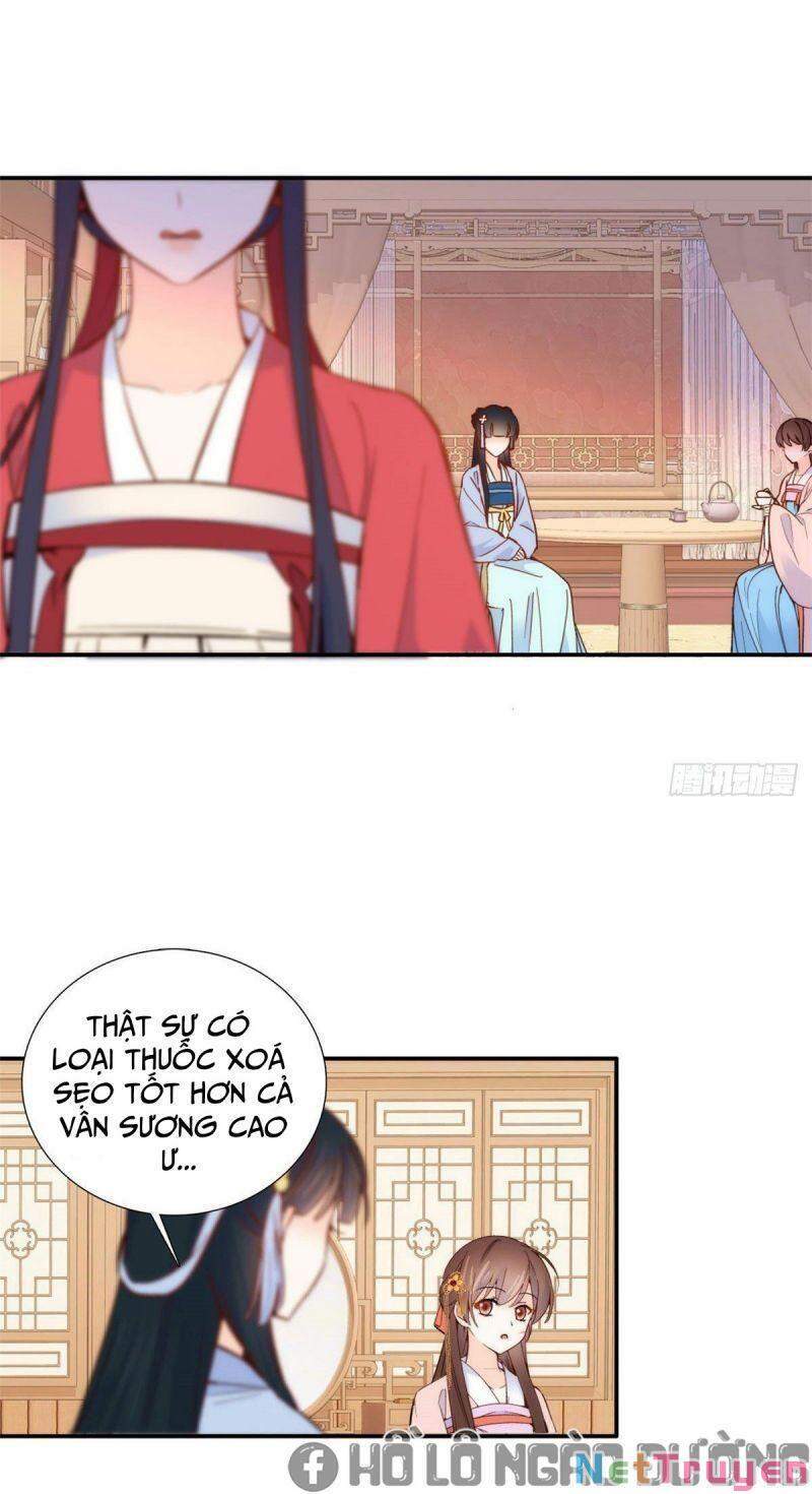 Thiều Quang Mạn Chapter 104 - Trang 2