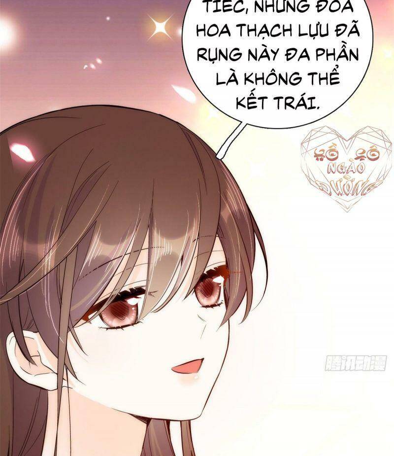 Thiều Quang Mạn Chapter 49 - Trang 2