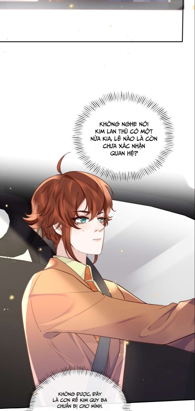 Tổng Tài Định Chế Tư Nhân Chapter 51 - Trang 2