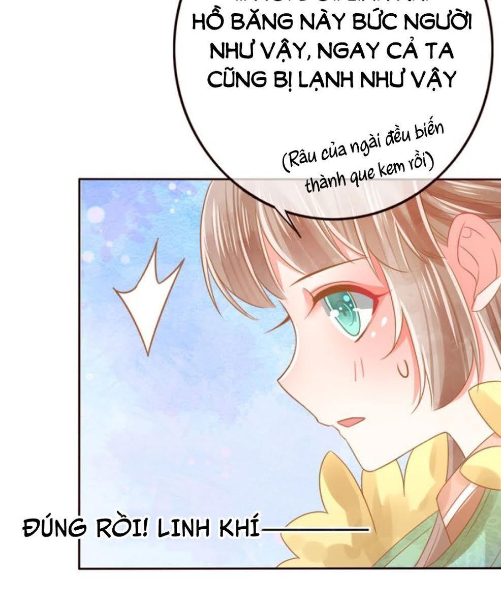 Chọc Nhầm Thượng Thần Băng Lãnh Chapter 23 - Trang 2