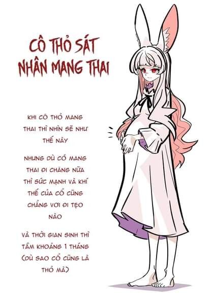 Cô Thỏ Sát Nhân Chapter 3 - Trang 2