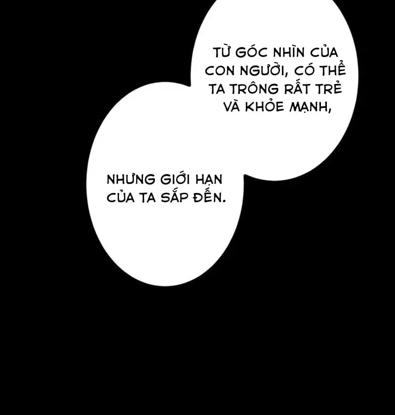 Sát Thủ Mạnh Nhất Chuyển Sinh Sang Thế Giới Khác Chapter 38 - Trang 2