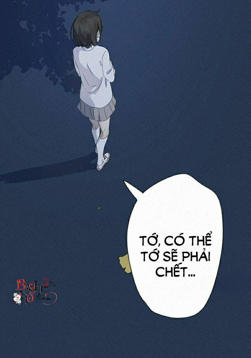 Nạn Nhân Thứ 7 Chapter 6 - Trang 2