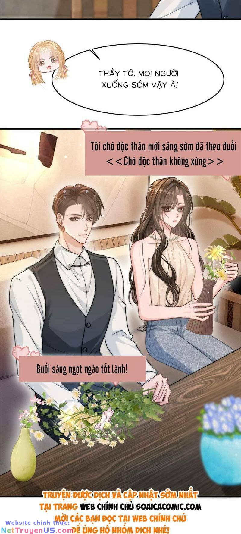 Lục Tổng Theo Đuổi Vợ Hậu Chia Tay Chapter 20 - Trang 2