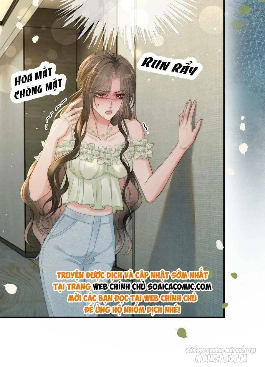 Lục Tổng Theo Đuổi Vợ Hậu Chia Tay Chapter 6 - Trang 2