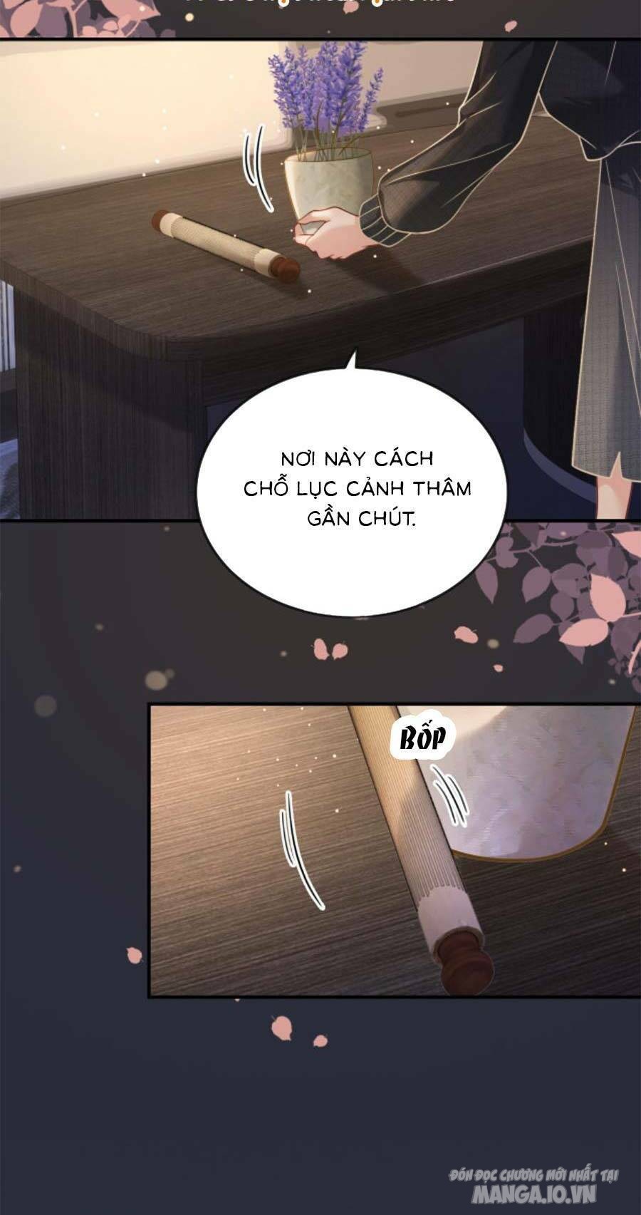 Lục Tổng Theo Đuổi Vợ Hậu Chia Tay Chapter 5 - Trang 2