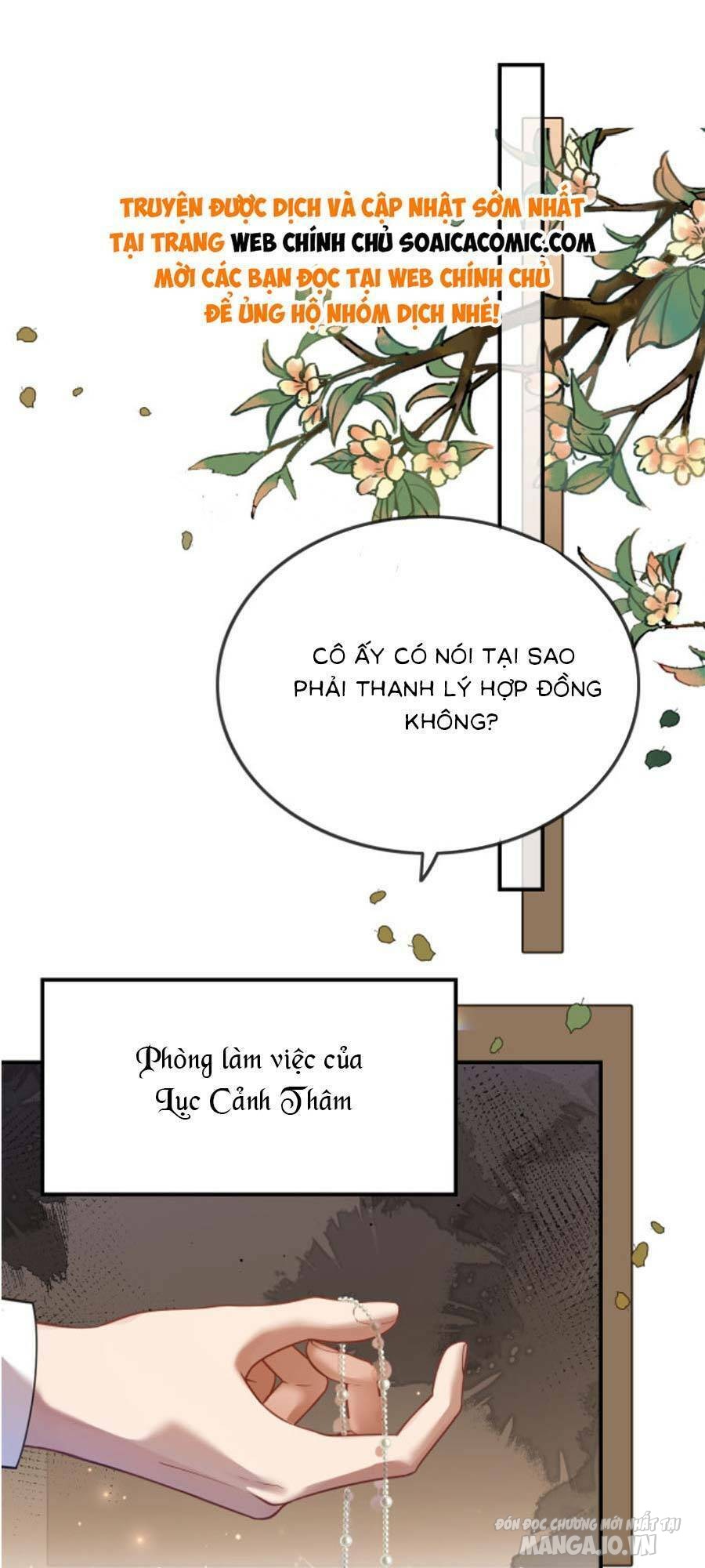 Lục Tổng Theo Đuổi Vợ Hậu Chia Tay Chapter 3 - Trang 2