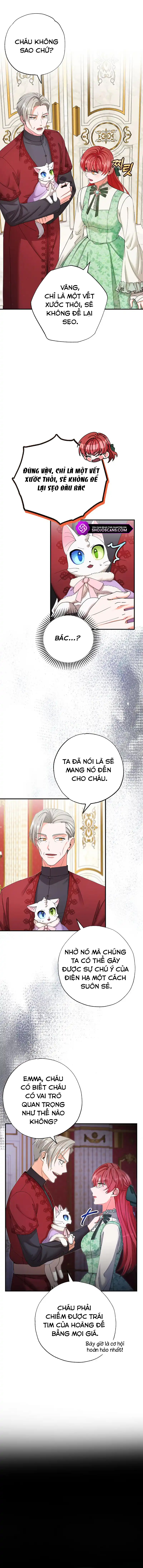 Trở Thành Miêu Nữ Của Hoàng Đế Chapter 14 - Trang 2