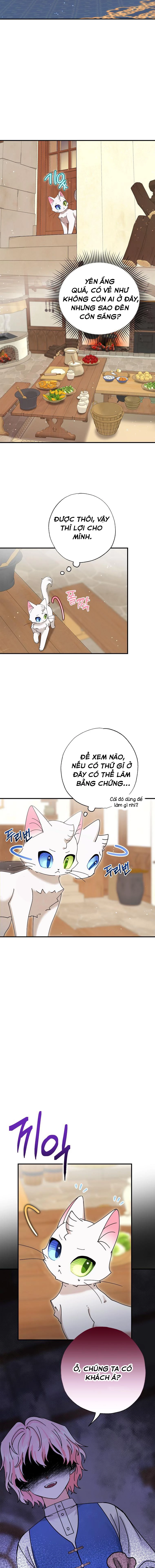 Trở Thành Miêu Nữ Của Hoàng Đế Chapter 8 - Trang 2