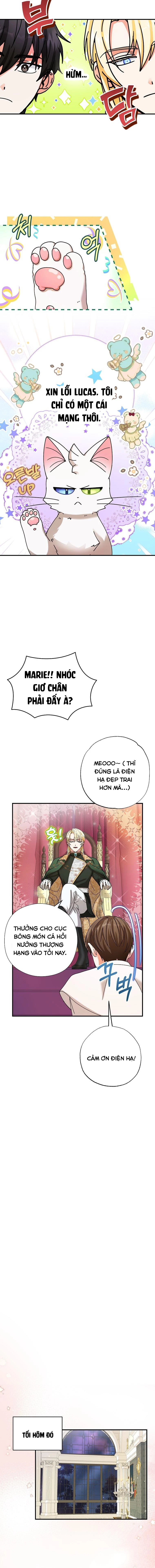 Trở Thành Miêu Nữ Của Hoàng Đế Chapter 6 - Trang 2