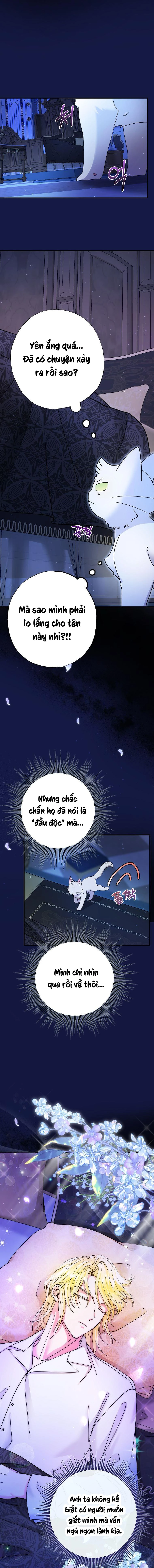 Trở Thành Miêu Nữ Của Hoàng Đế Chapter 6 - Trang 2