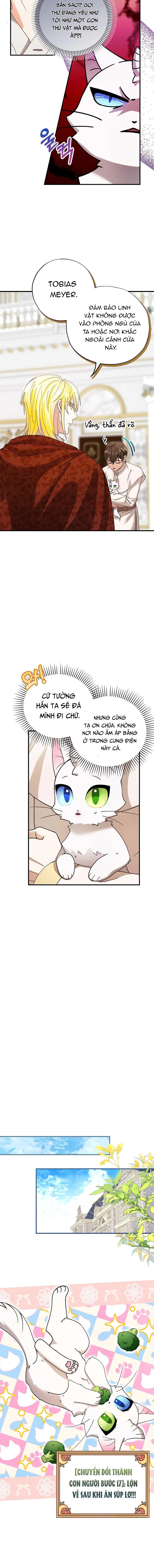 Trở Thành Miêu Nữ Của Hoàng Đế Chapter 2 - Trang 2